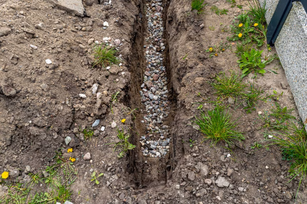 blocked drains wellington
