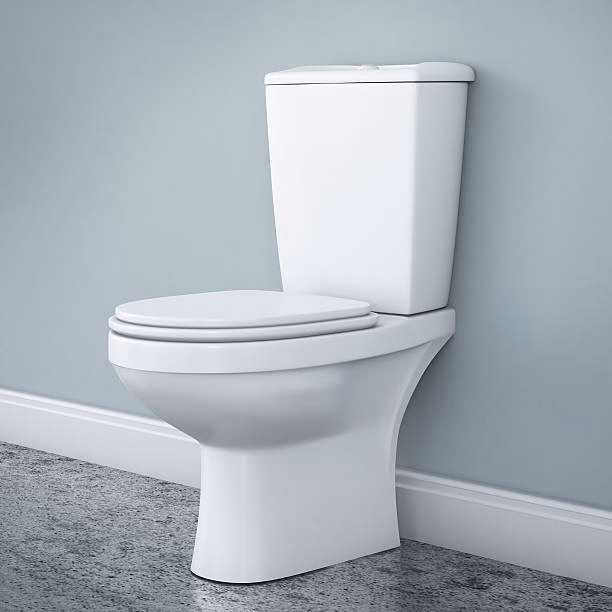 wellington drainlaying services