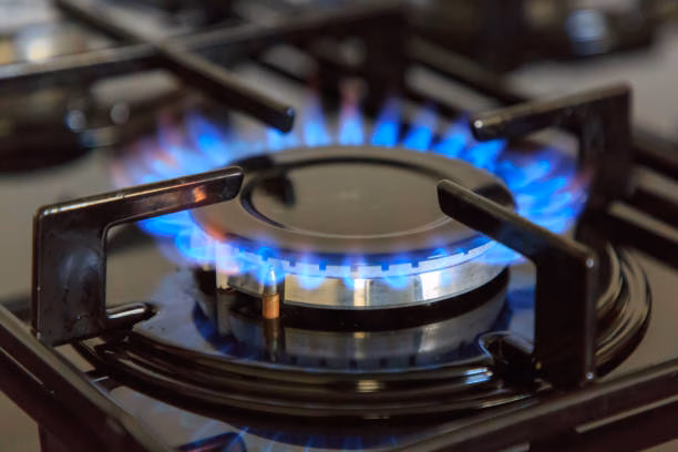 wellington gasfitting services